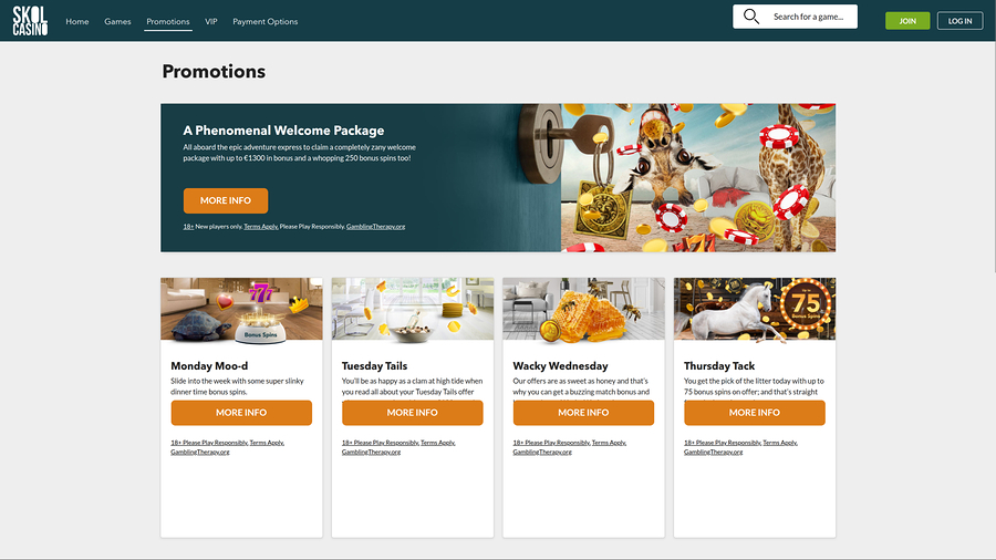 SkolCasino Desktop Promotions