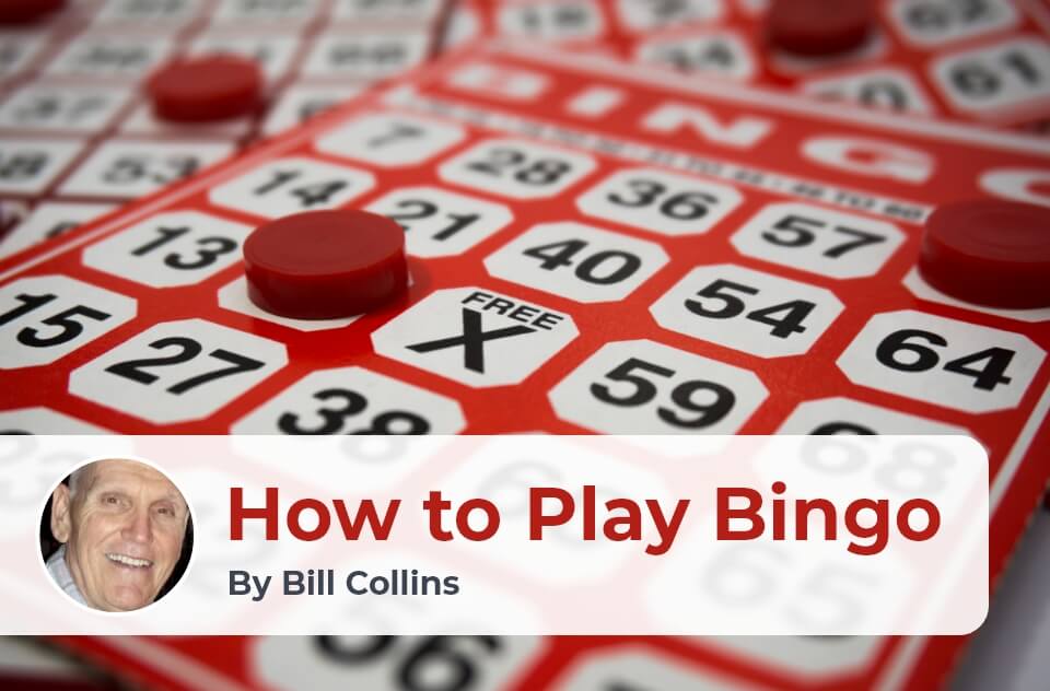 How to Play Bingo: Beginner´s Guide