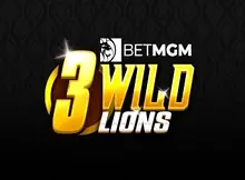 3 Wild Lions Screenshot
