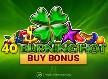 40 Burning Hot Buy Bonus screenshot