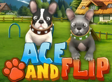 Ace and Flip Screenshot