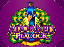Adorned Peacock Screenshot