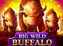Big Wild Buffalo screenshot