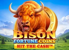 Bison Fortune Coins Screenshot
