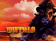 Buffalo