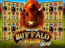 Buffalo Run Quad Screenshot