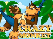Crazy Monkey Screenshot