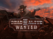 Dead or Alive 3 Wanted screenshot