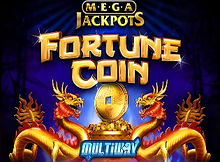 Fortune Coin Mega Jackpots screenshot