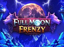 Full Moon Frenzy Screenshot