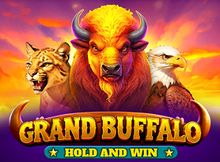 Grand Buffalo Hold and Win