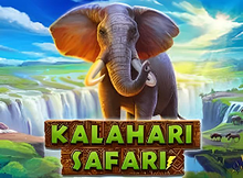 Kalahari Safari Screenshot