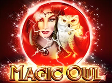 Magic Owl Screenshot