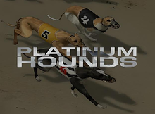 Platinum Hounds Screenshot