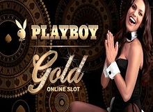 Playboy Gold screenshot