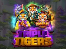 RTG Triple Tigers Screenshot