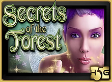 Secrets of the Forest Screenshot