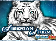 Siberian Storm screenshot