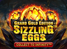 Sizzling Eggs Grand Gold Edition screenshot