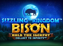 Sizzling Kingdom Bison screenshot