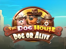 The Dog House Dog or Alive screenshot
