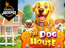 The Dog House Oranje Jackpot screenshot