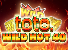 Toto Wild Hot 40 screenshot