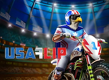 USA Flip screenshot