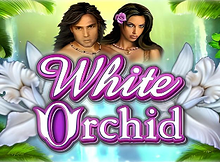 White Orchid Screenshot