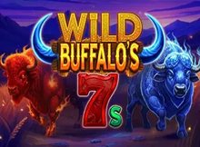 Wild Buffalos 7s Screenshot