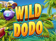 Wild Dodo