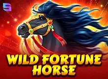 Wild Fortune Horse