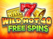 Wild Hot 40 Free Spins screenshot