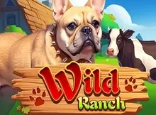 Wild Ranch