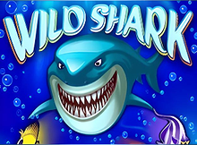 Wild Shark Screenshot