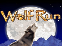 Wolf Run Screenshot