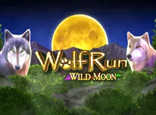 Wolf Run Wild Moon screenshot