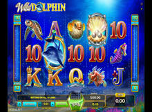 Wild Dolphin Screenshot