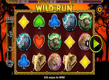 Casino Freak Casino Freak