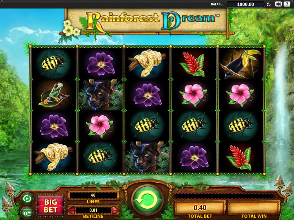 Play Rainforest Dream For Free - CasinoFreak.com