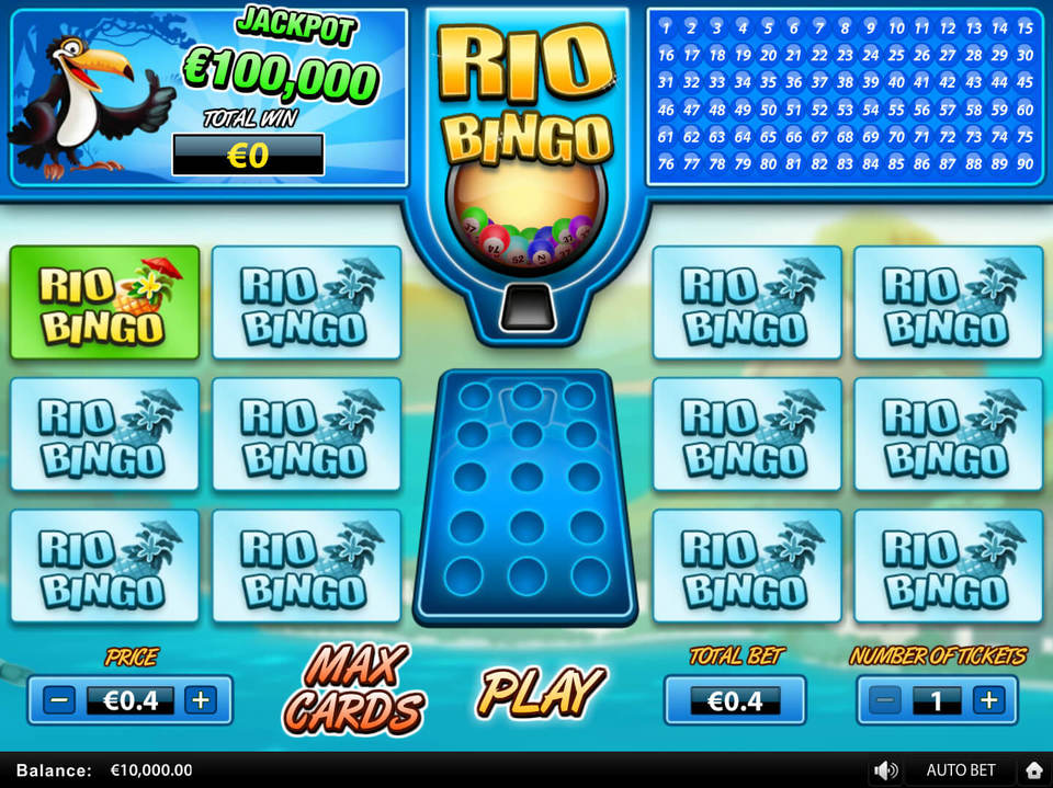 Rio Bingo screenshot