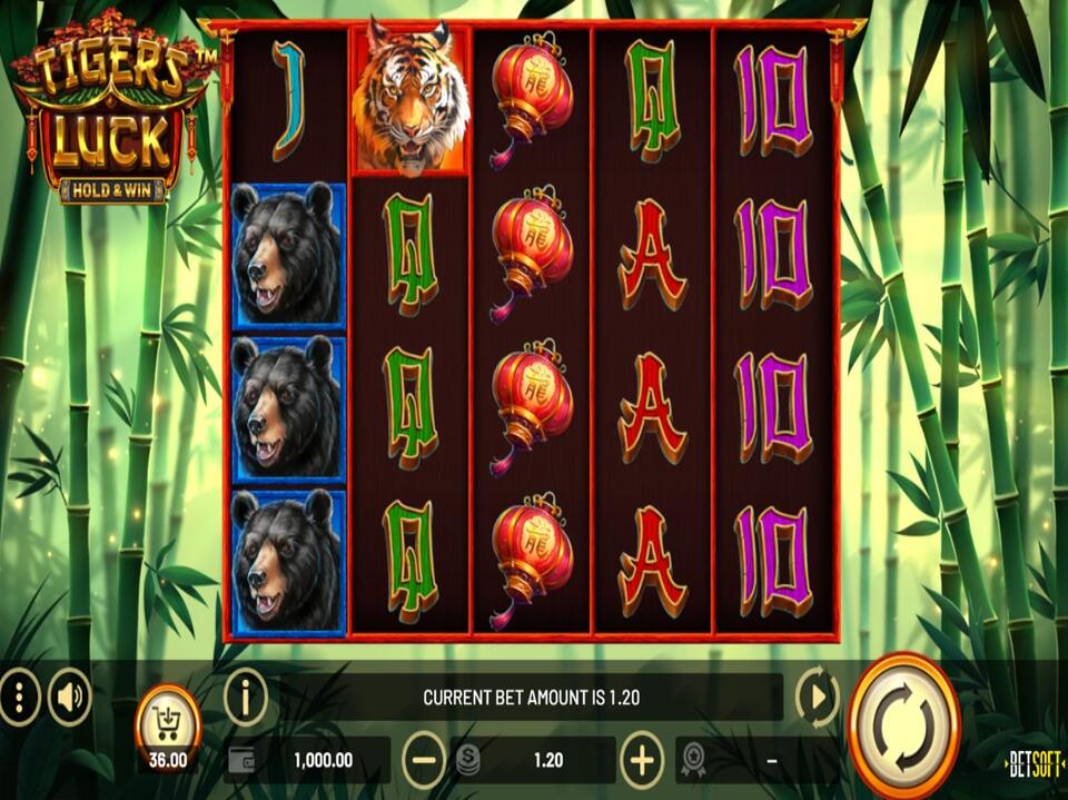 Tigers Luck Hold and Win screenshot