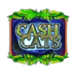 cash cats scatter game symbol icon