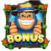 kong it up large scatter 2 symbol icon