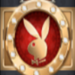 playboy gold scatter symbol icon