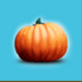 pumpkin fairy pumpkin symbol icon