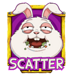 rowdy rabbits collect and win scatter 2 symbol icon