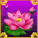 the third lotus prince scatter symbol icon