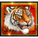 tiger and dragon cash on reels scatter 2 symbol icon