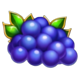 100 art of gold grapes symbol icon